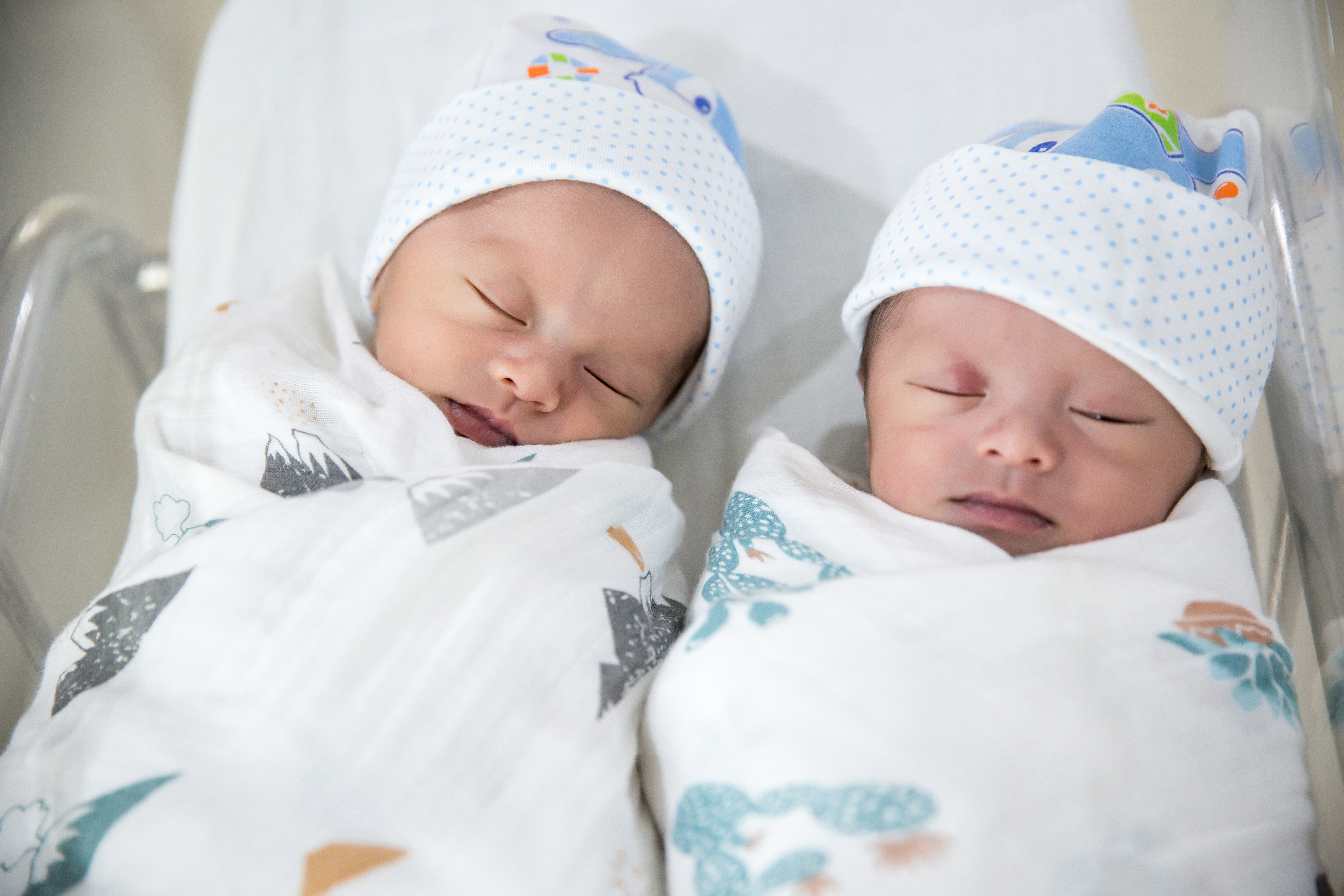 Newborn twins | Source: Shutterstock