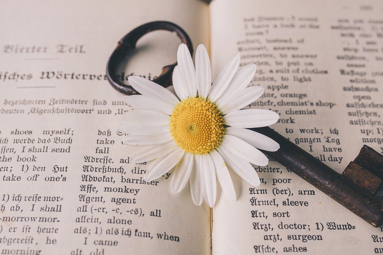 An open book with a key and a flower lying on top of the pages | Photo: Pixabay/suju-foto