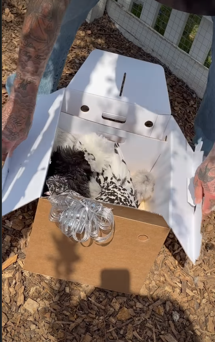David Beckham unboxing his gifts | Source: Instagram/victoriabeckham