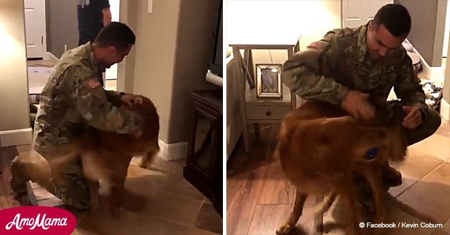 Dog can't stop crying when seeing his military owner for the first time in 9 months