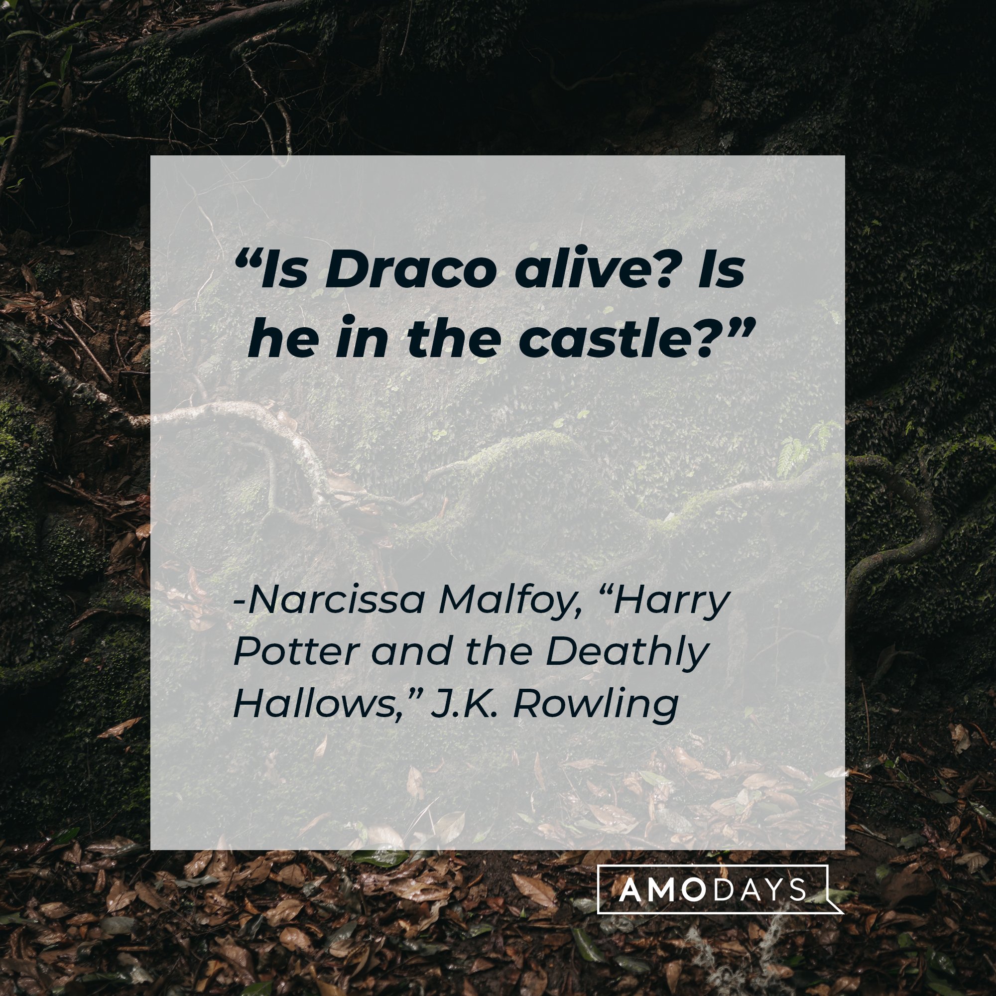 Narcissa Malfoy's quote in “Harry Potter and the Deathly Hallows”: "Is Draco alive? Is he in the castle?" | Image: AmoDays