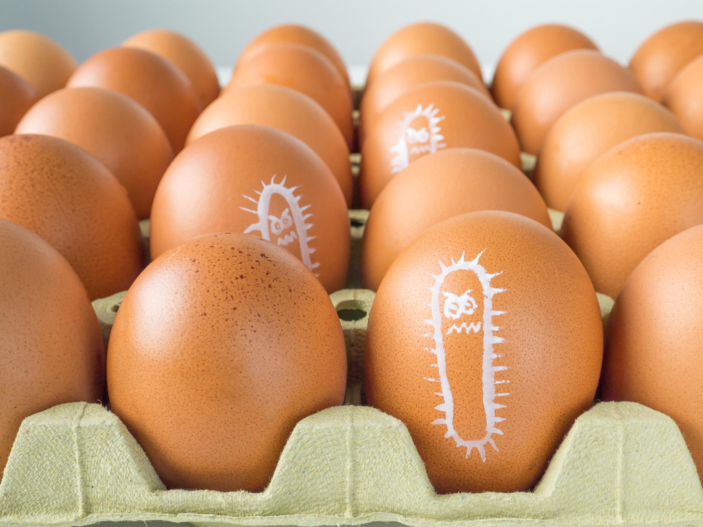 A visual reminder to double-check your fridge this morning. Aggressive germ illustrations drawn on brown eggs symbolize the invisible Salmonella contamination affecting millions of breakfast staples across the country. | Source: Getty Images