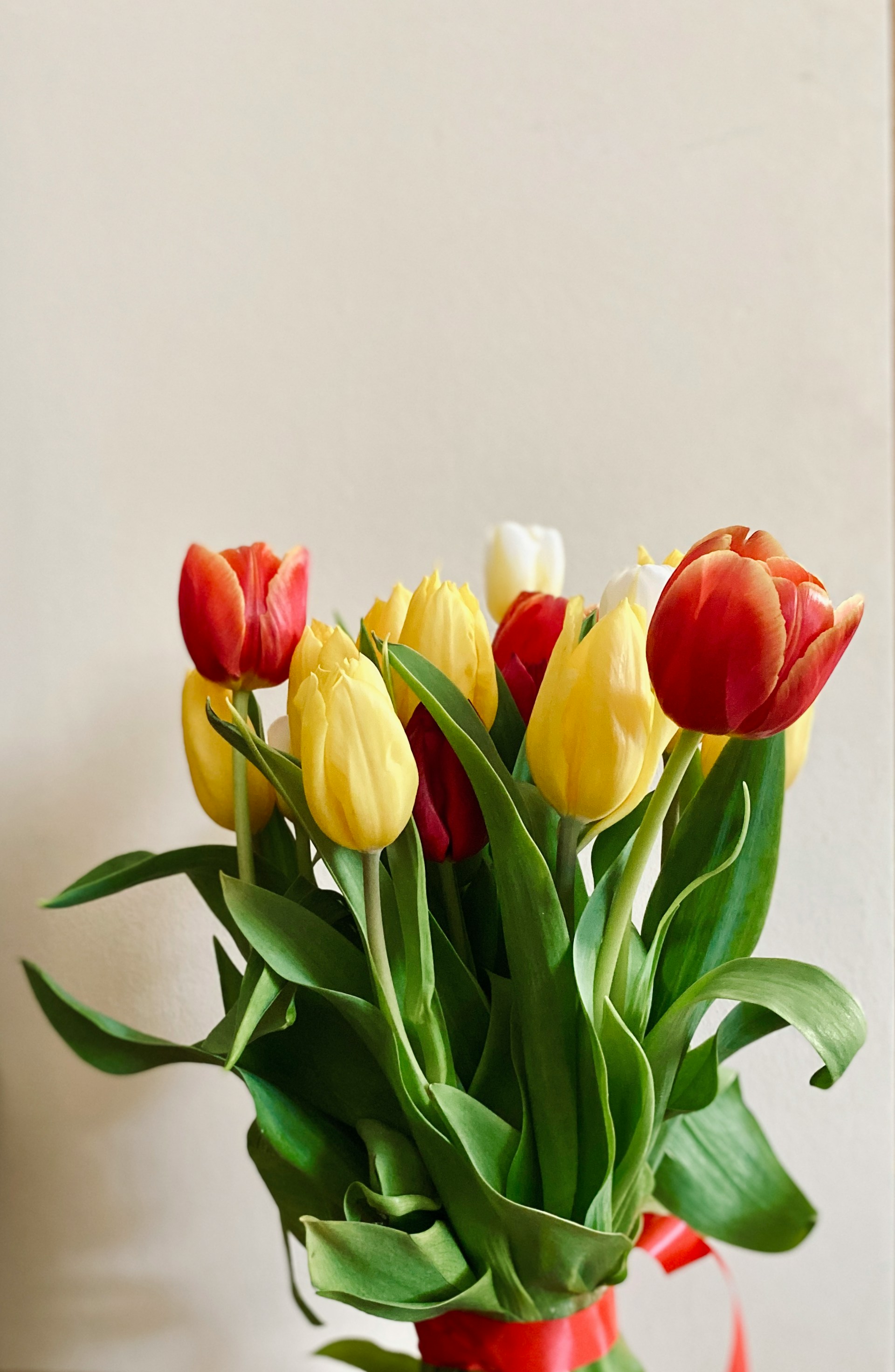 A bouquet of tulips | Source: Unsplash