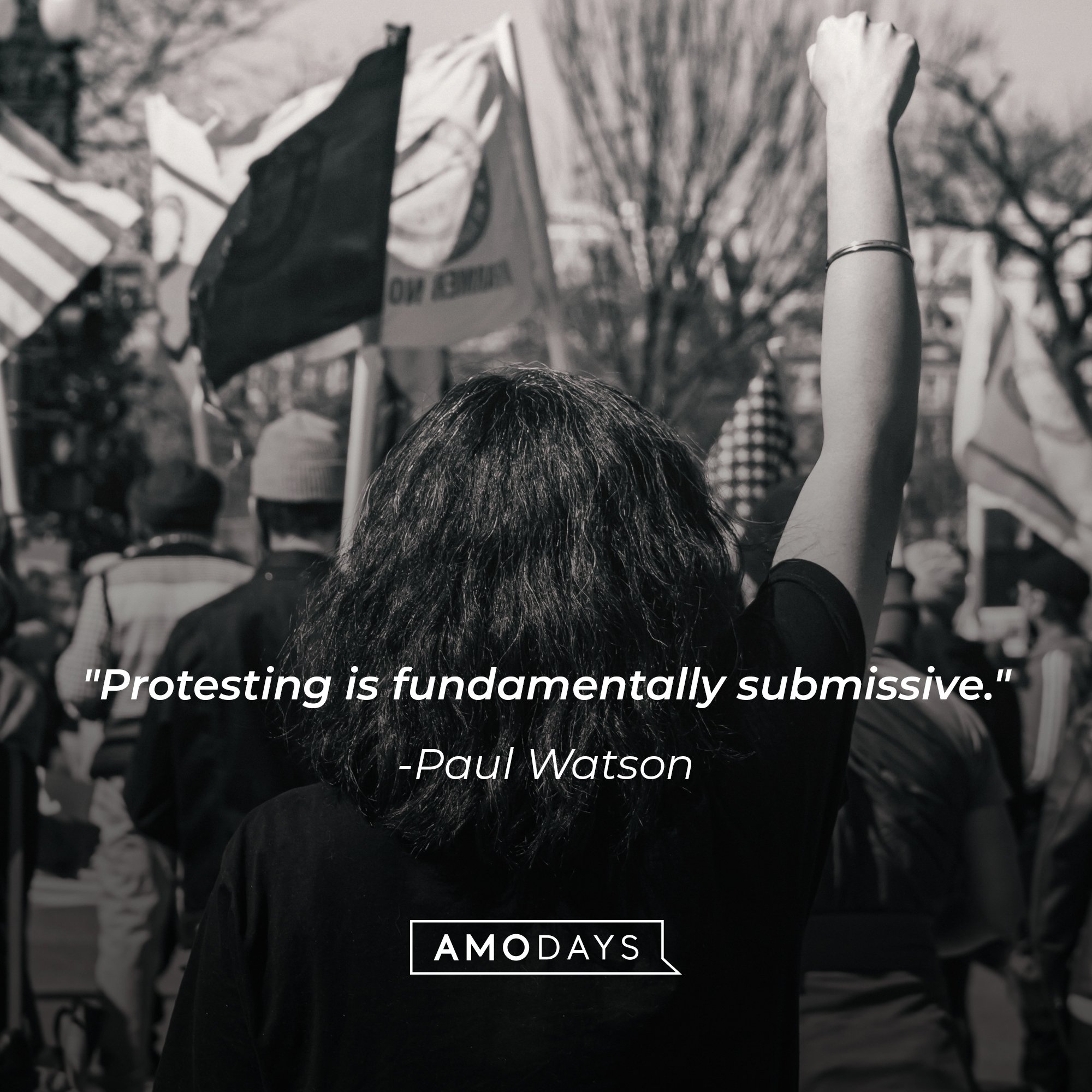  Paul Watson’s quote: "Protesting is fundamentally submissive."  | Image: AmoDays