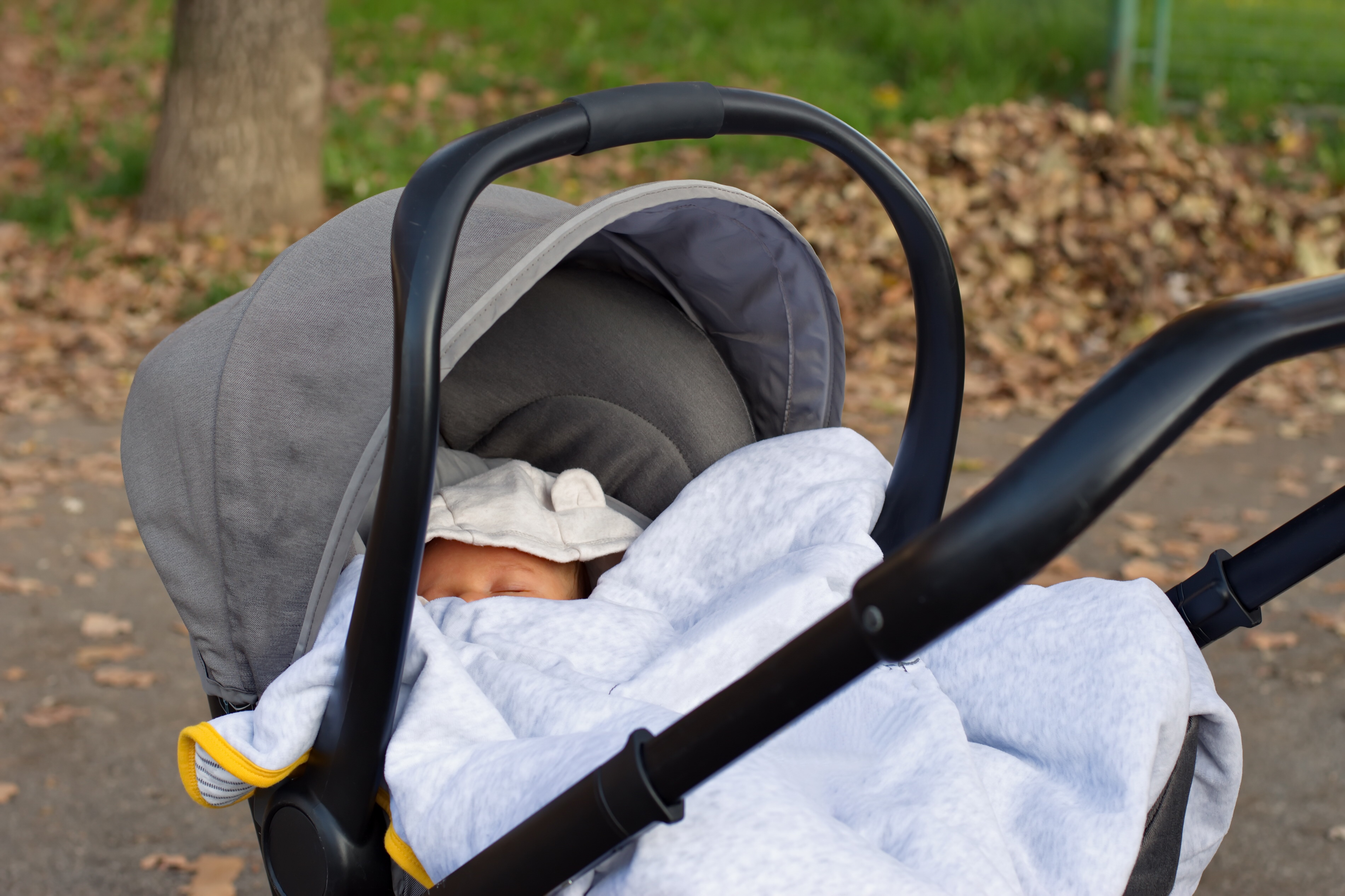 Closeup of stroller with newborn baby in park | Source: Shutterstock