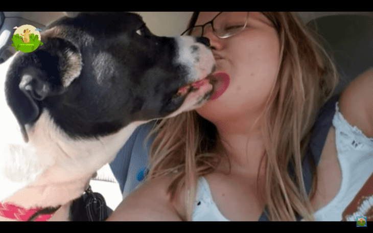 Quelle: youtube/TOP ANIMALS STORIES