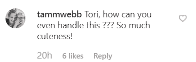A fan's comment on Tori's Instagram post |  | Source: Instagram//toriroloff