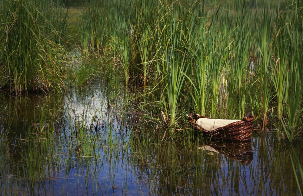 Cesta tejida flotando sobre el río.| Fuente: Shutterstock Cesta tejida flotando sobre el río.| Fuente: Shutterstock