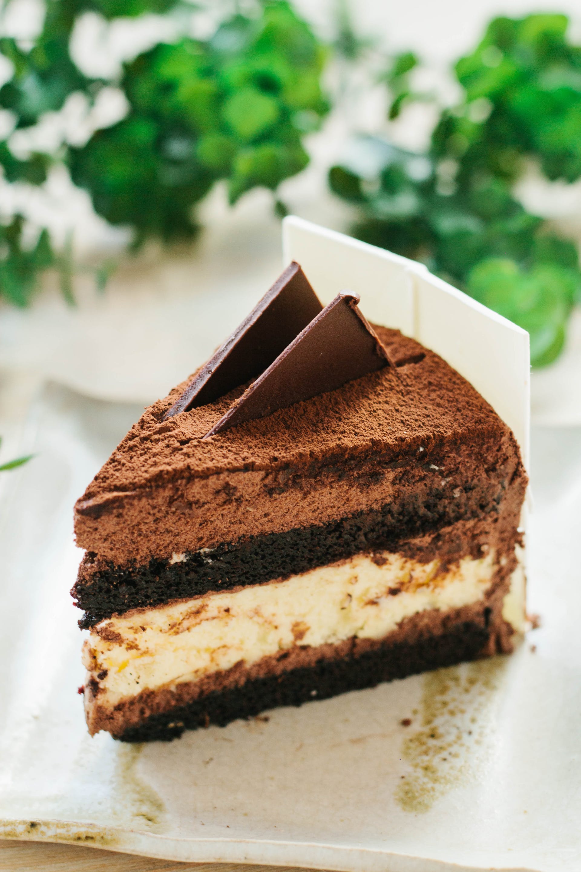 Slice of chocolate cake | Source: Pexels