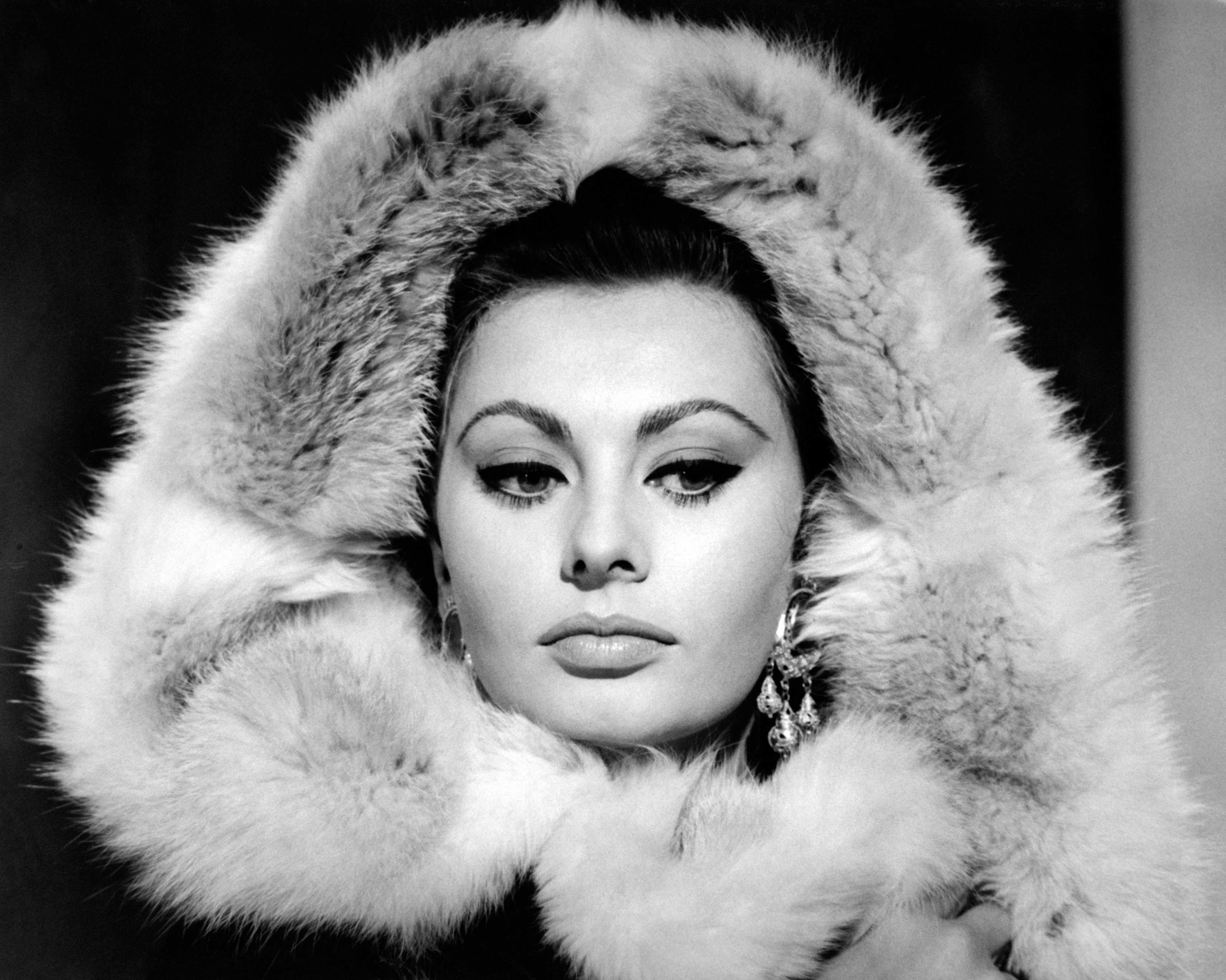 Sophia Loren in 1962. | Source: Getty Images