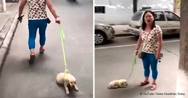 Woman seen lifting puppy by the leash in mid-air and dragging it on road