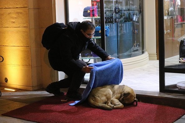 Huseyin Yurtseven cubriendo un perro callejero con una manta azul en Estambul, Turquía | Foto: Getty Images
