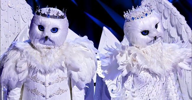 snow owls masked singer