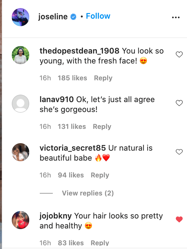 Screenshot of fan comments on Joseline Hernandez's photo. | Source: Instagram.com/joseline