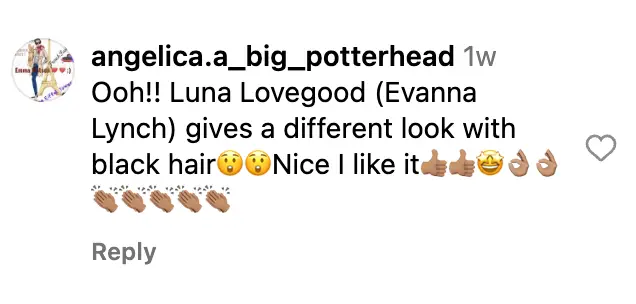 An Instagram user comments on Evanna Lynch’s post. | Source: Instagram/evannalynch