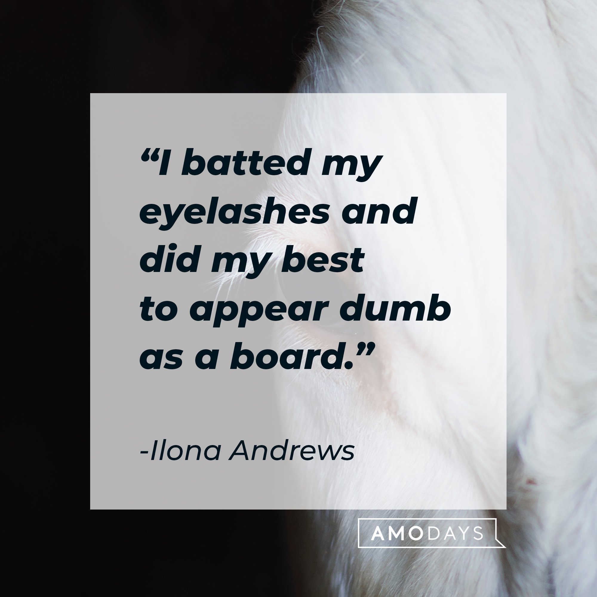 Ilona Andrews’ quote: "I batted my eyelashes and did my best to appear dumb as a board."  | Image: AmoDays