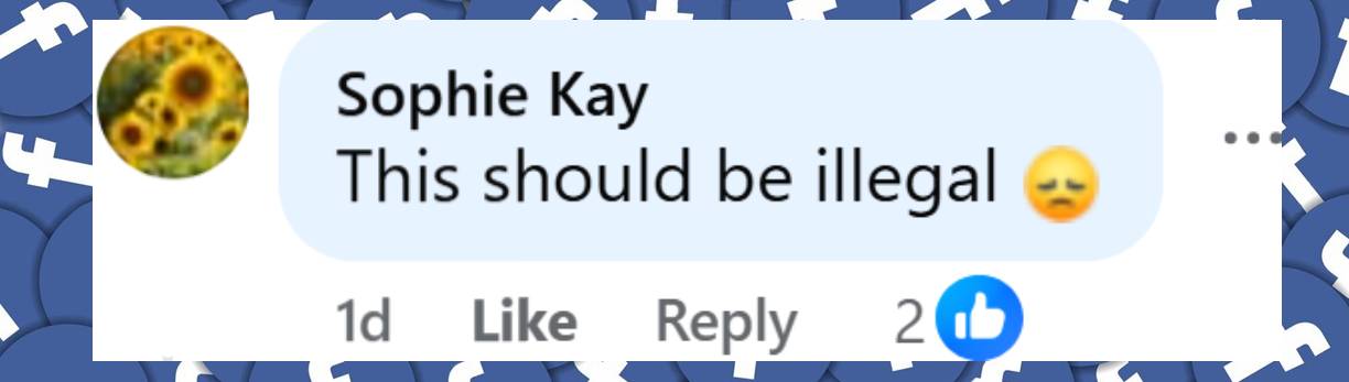 A netizen comment dated January 15, 2026. | Source: Facebook/JustJared