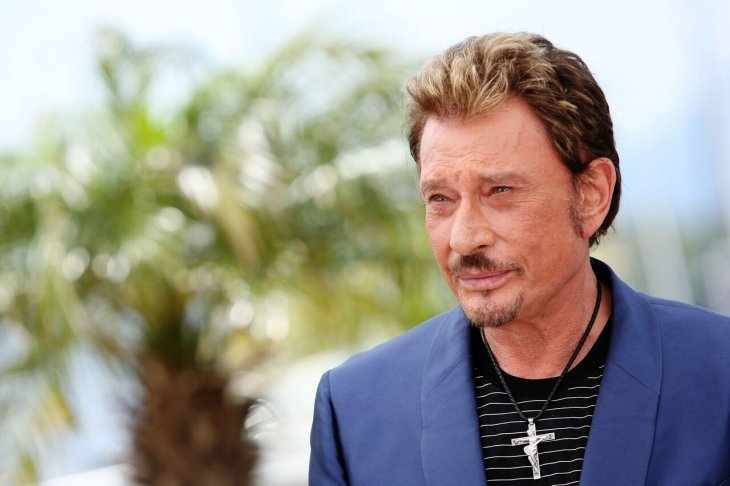 Johnny Hallyday | Photo : Pixabay