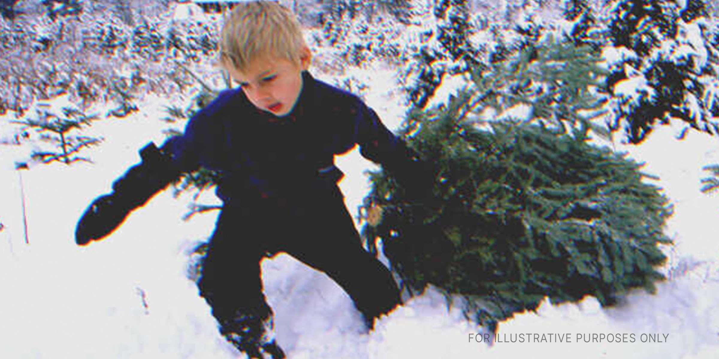 Little boy pulling a Christmas tree | Source: Getty Images