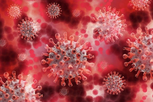 Imagen del coronavirus.  | Foto: Pixabay