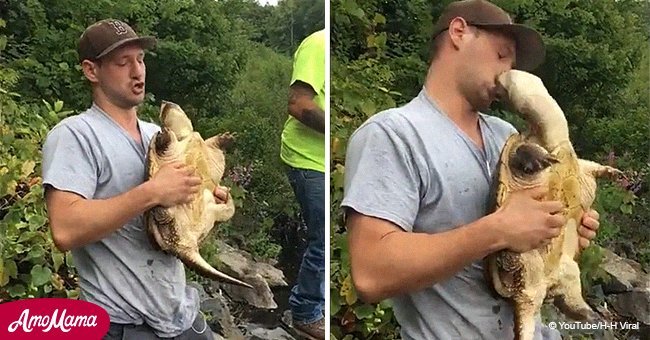 Angry snapping turtle gives man a nasty bite on the lip for trying to kiss him
