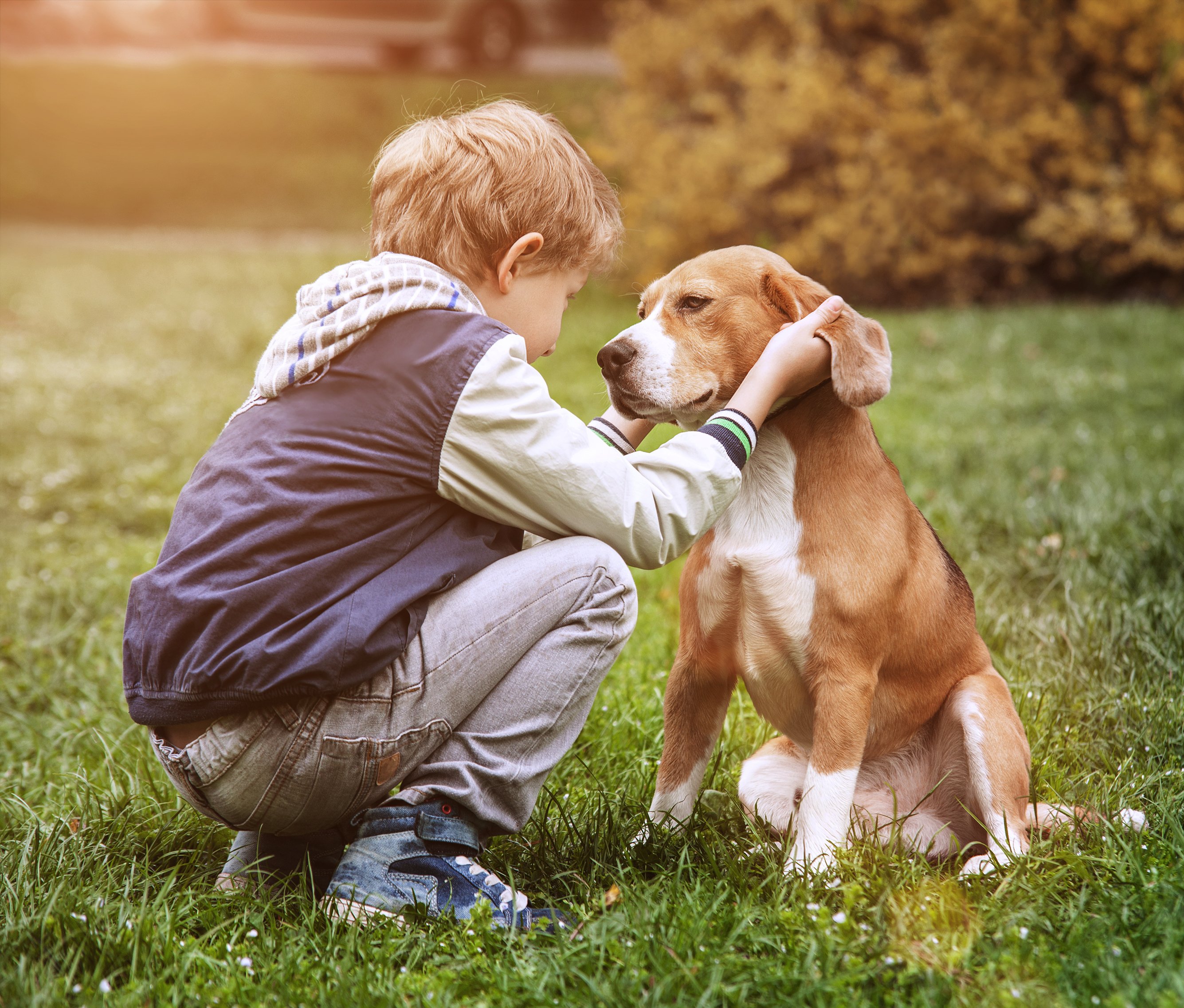 Zwei beste Freunde - Junge und sein Hund | Quelle: Shutterstock