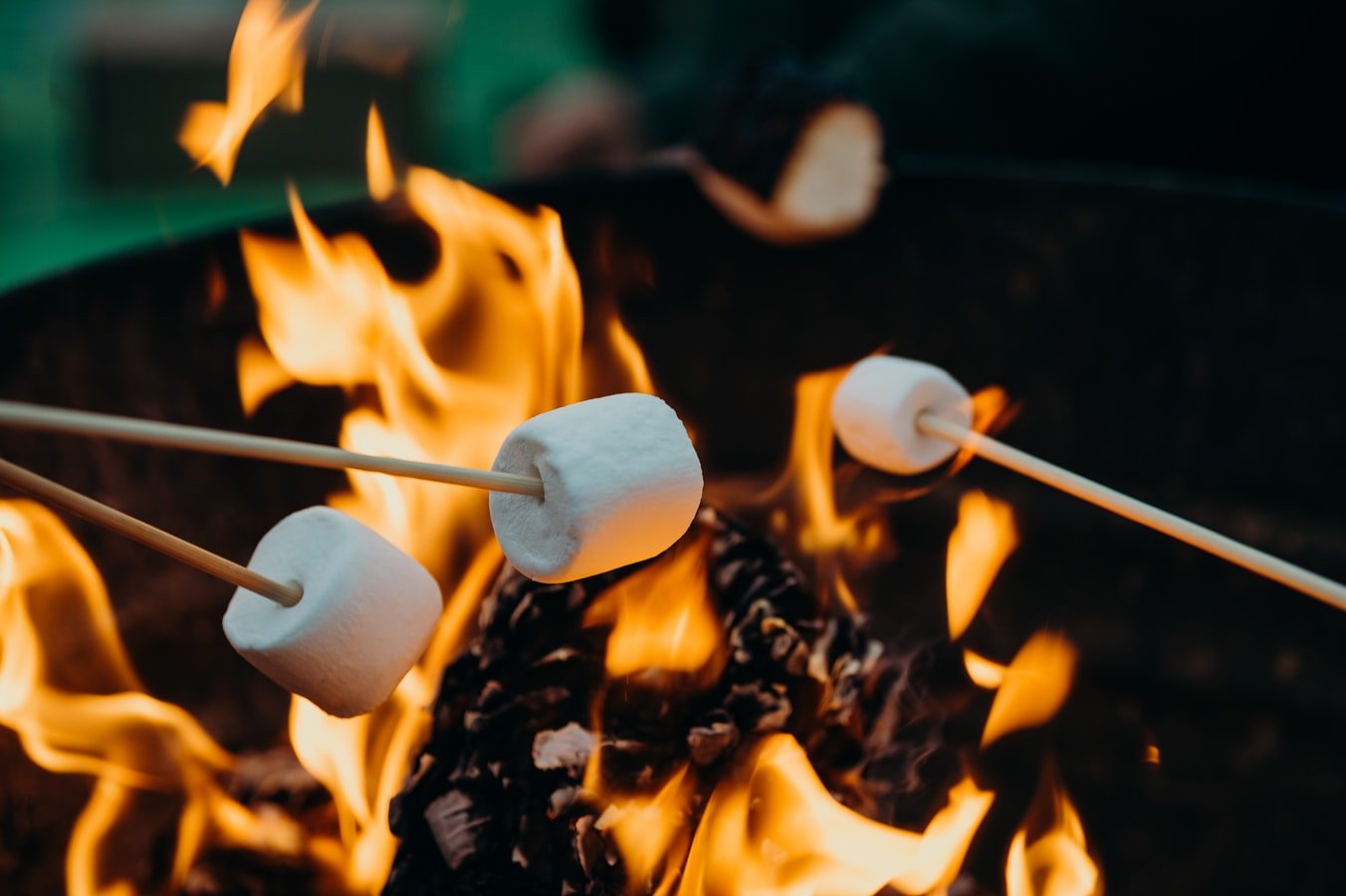 The wife recalled the time when they had bonfire and roasted marshmallows. | Photo: Unsplash/Leon Contreras