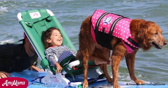 Ricochet the surfing therapy dog is helping children with severe debilitating conditions