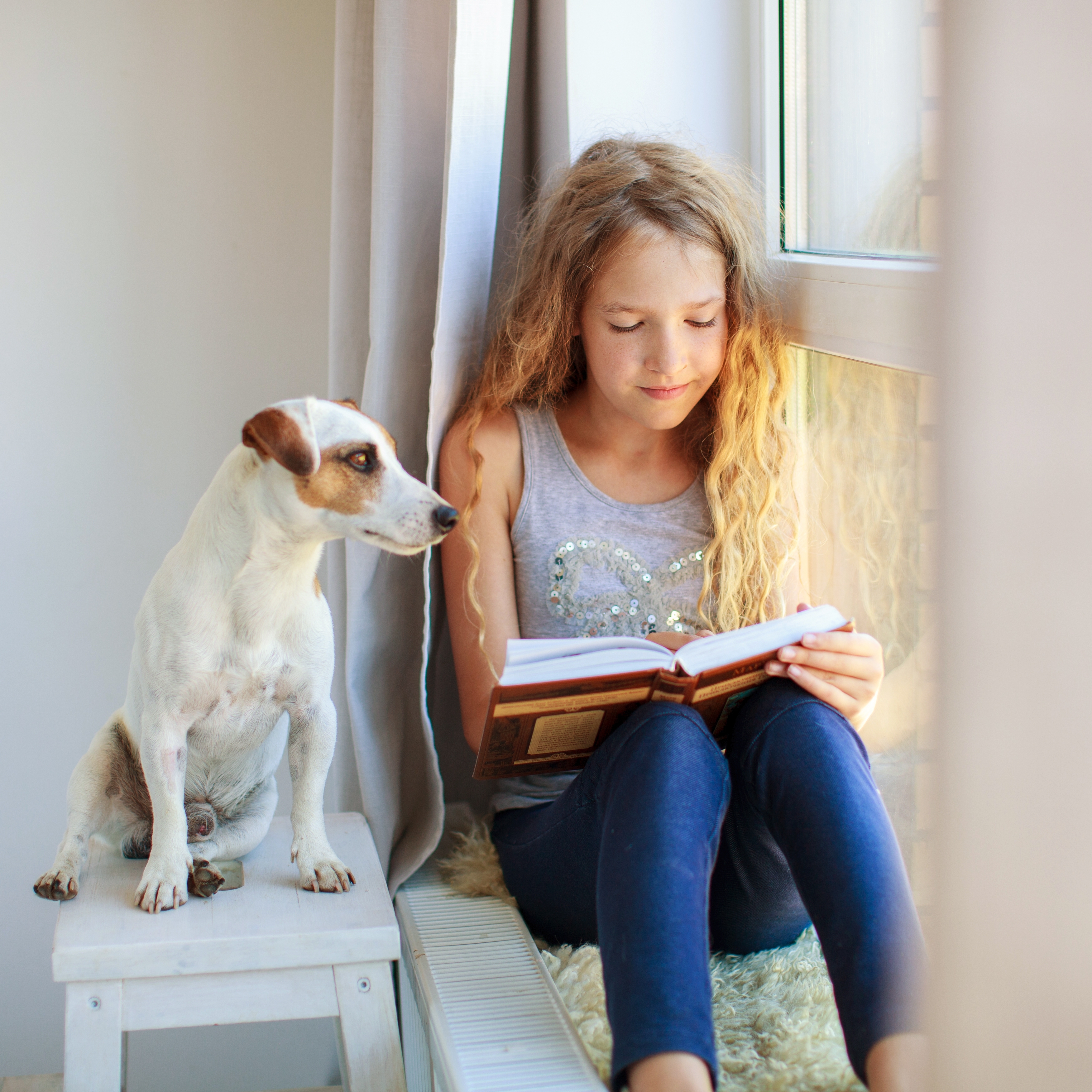 A young girl reads a book sitting near the window with her dog beside her | Source: Shutterstock