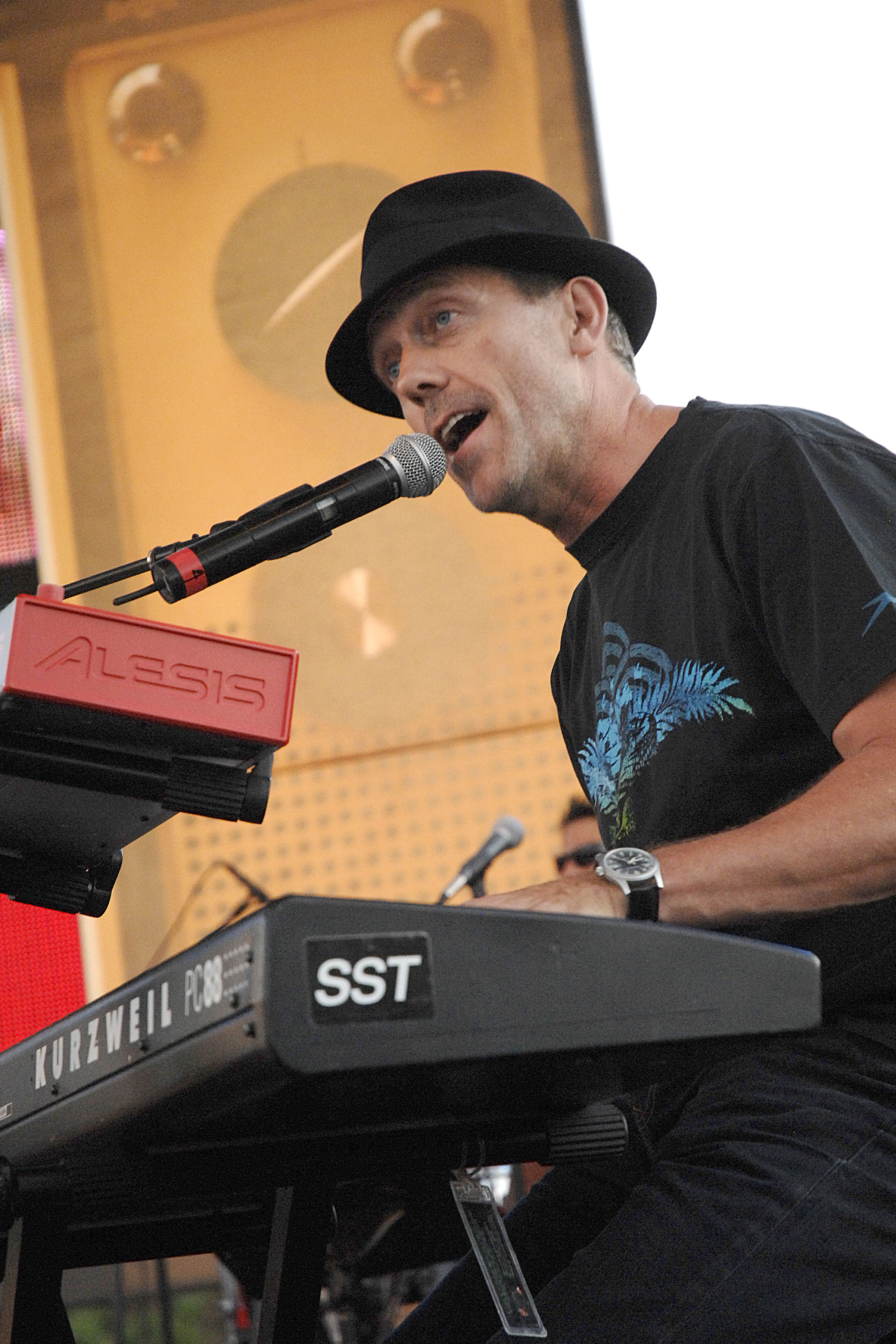 Hugh Laurie performs on August 9, 2008 | Source: Getty Images