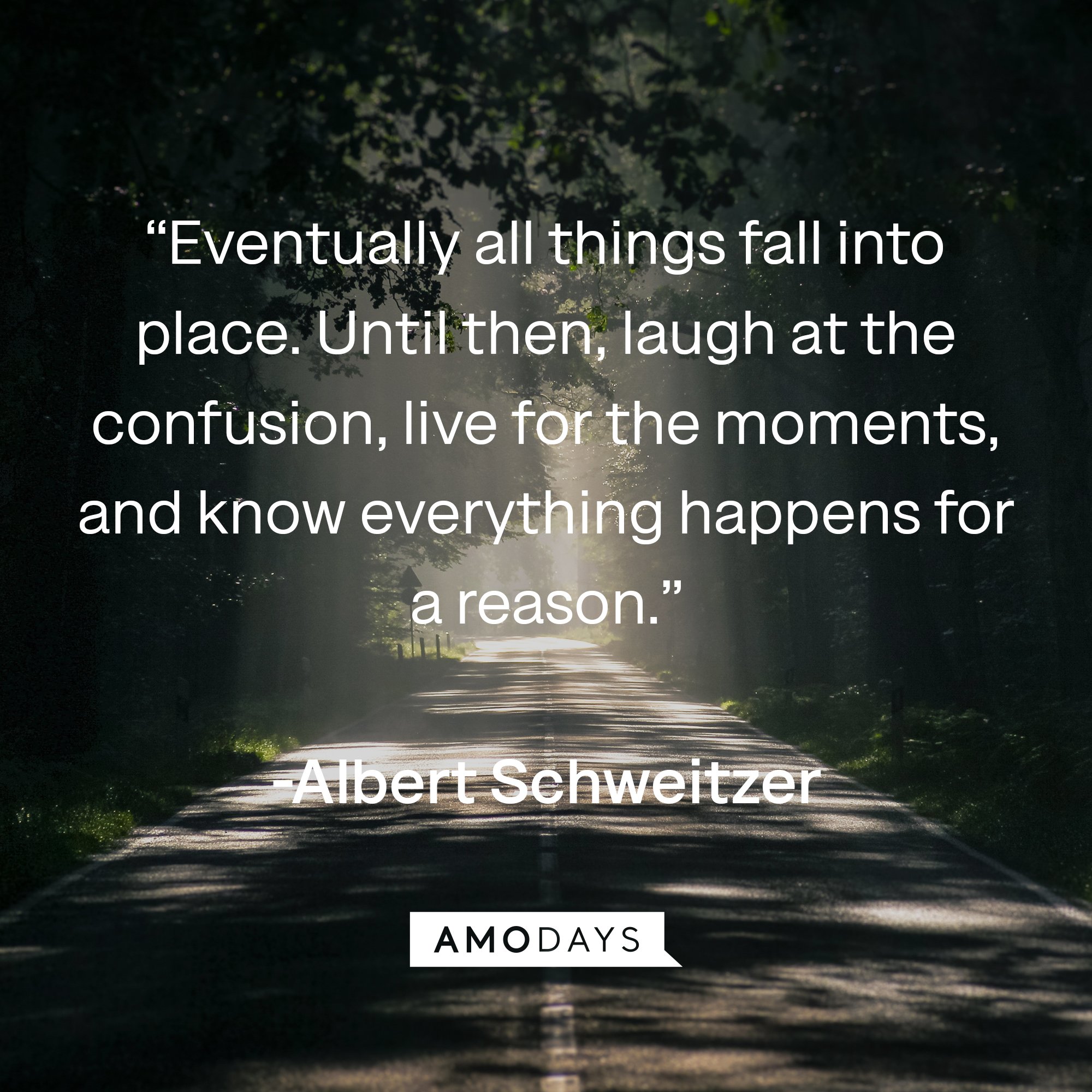 Albert Schweitzer's quote: “Eventually all things fall into place. Until then, laugh at the confusion, live for the moments, and know everything happens for a reason.” | Image: AmoDays