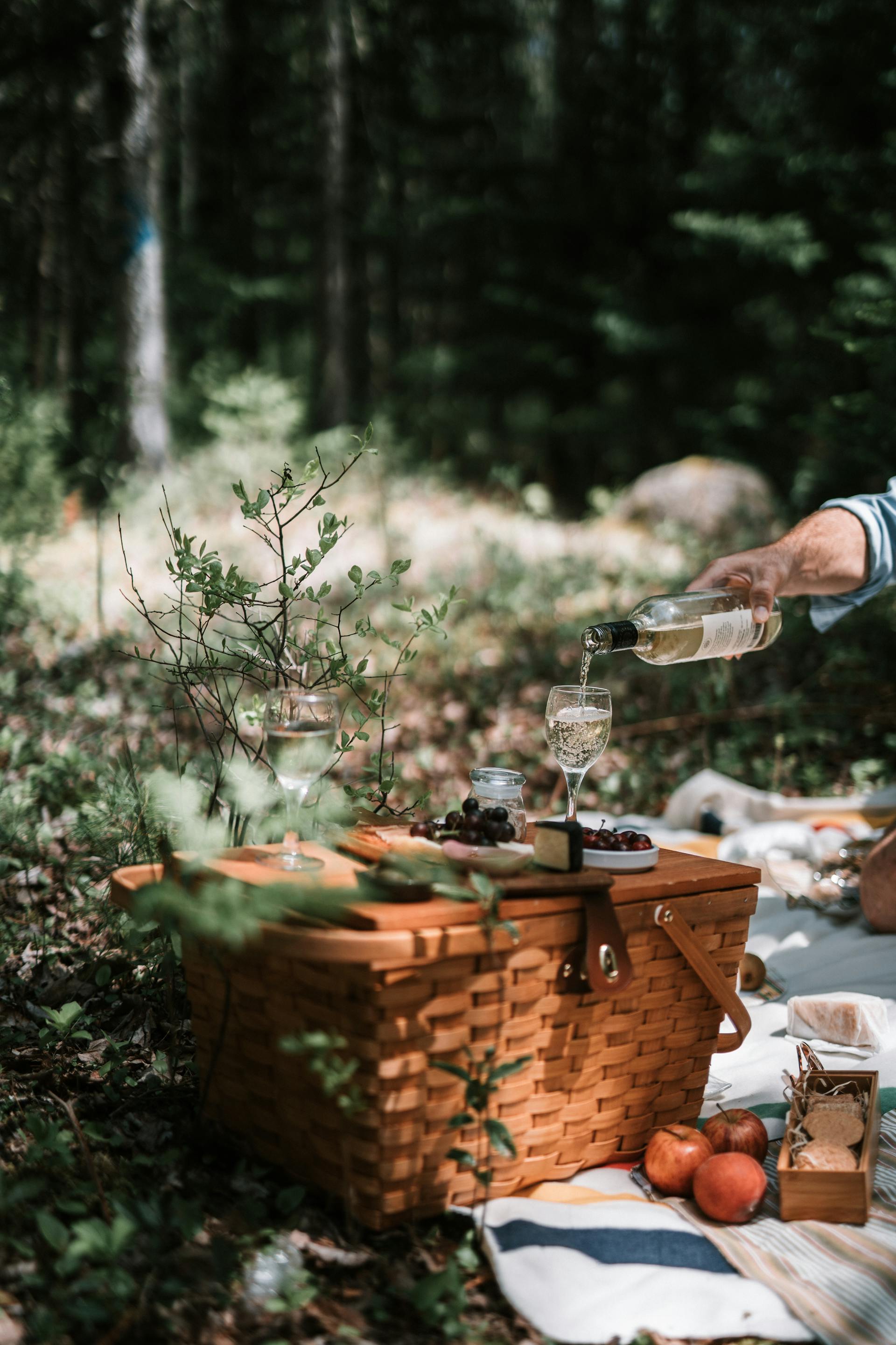 A picnic setup | Source: Pexels