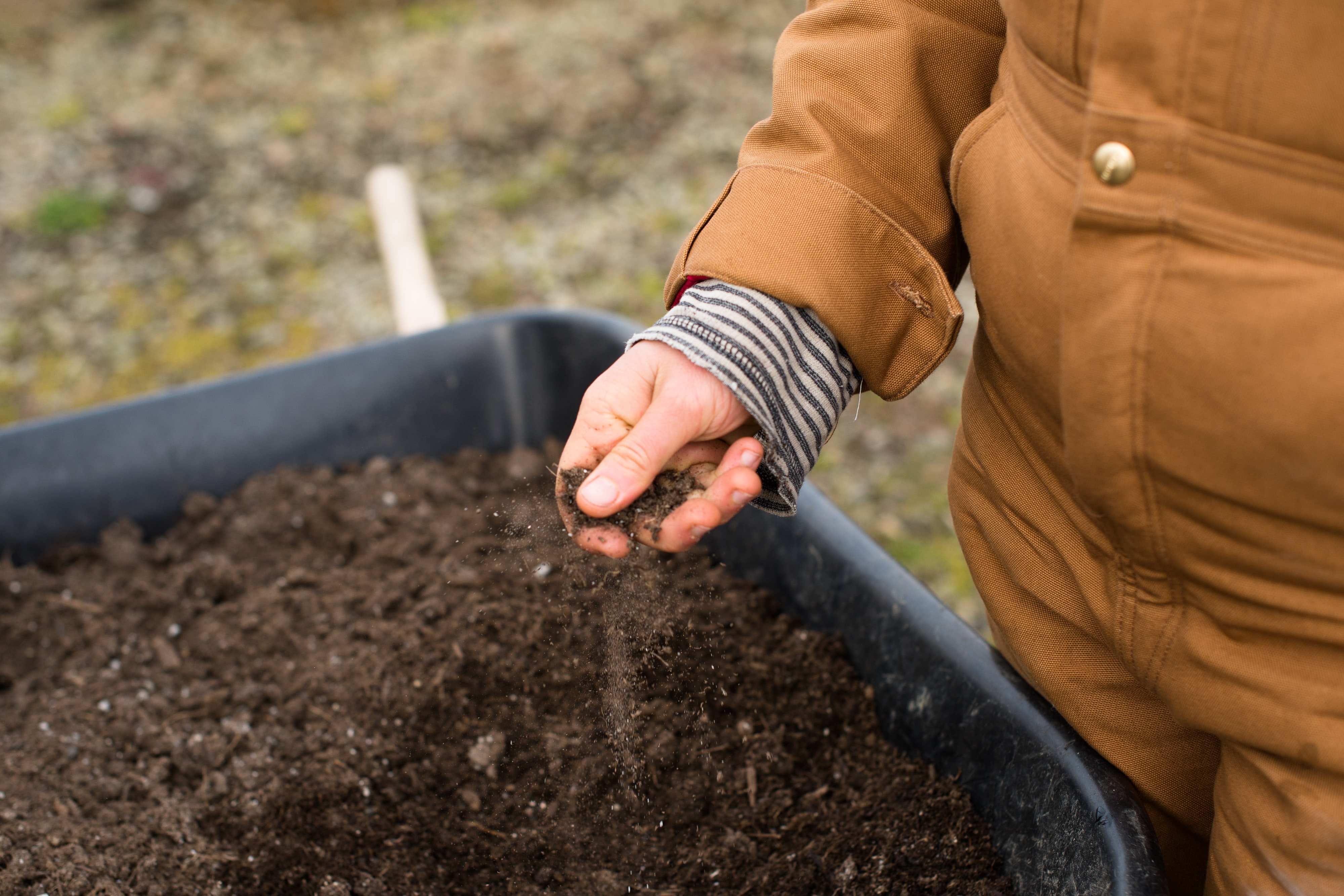 Andrew refused to use chemicals and the farm became less profitable. | Source: Unsplash