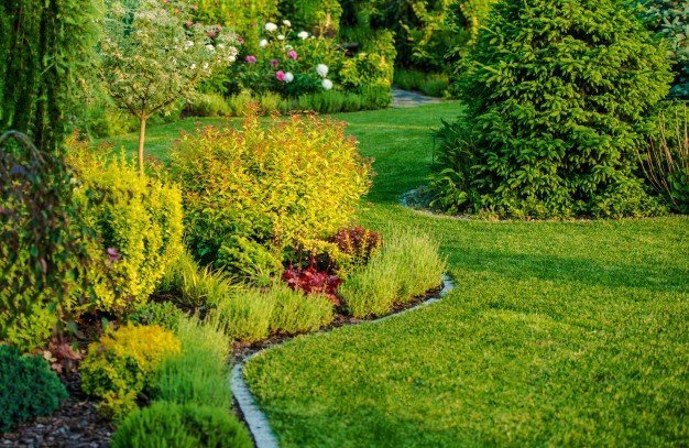 Source: Freepik Source: Freepik