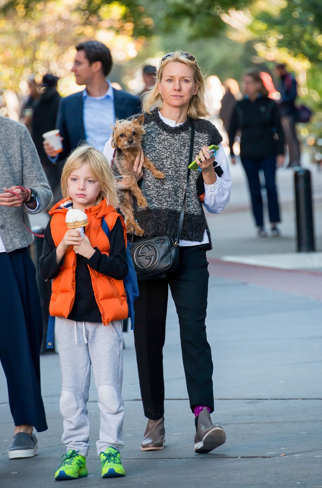 Naomi Watts, Samuel Schreiber, and their Yorkshire Terrier Bob seen on October 20, 2015, in New York City | Source: Getty Images