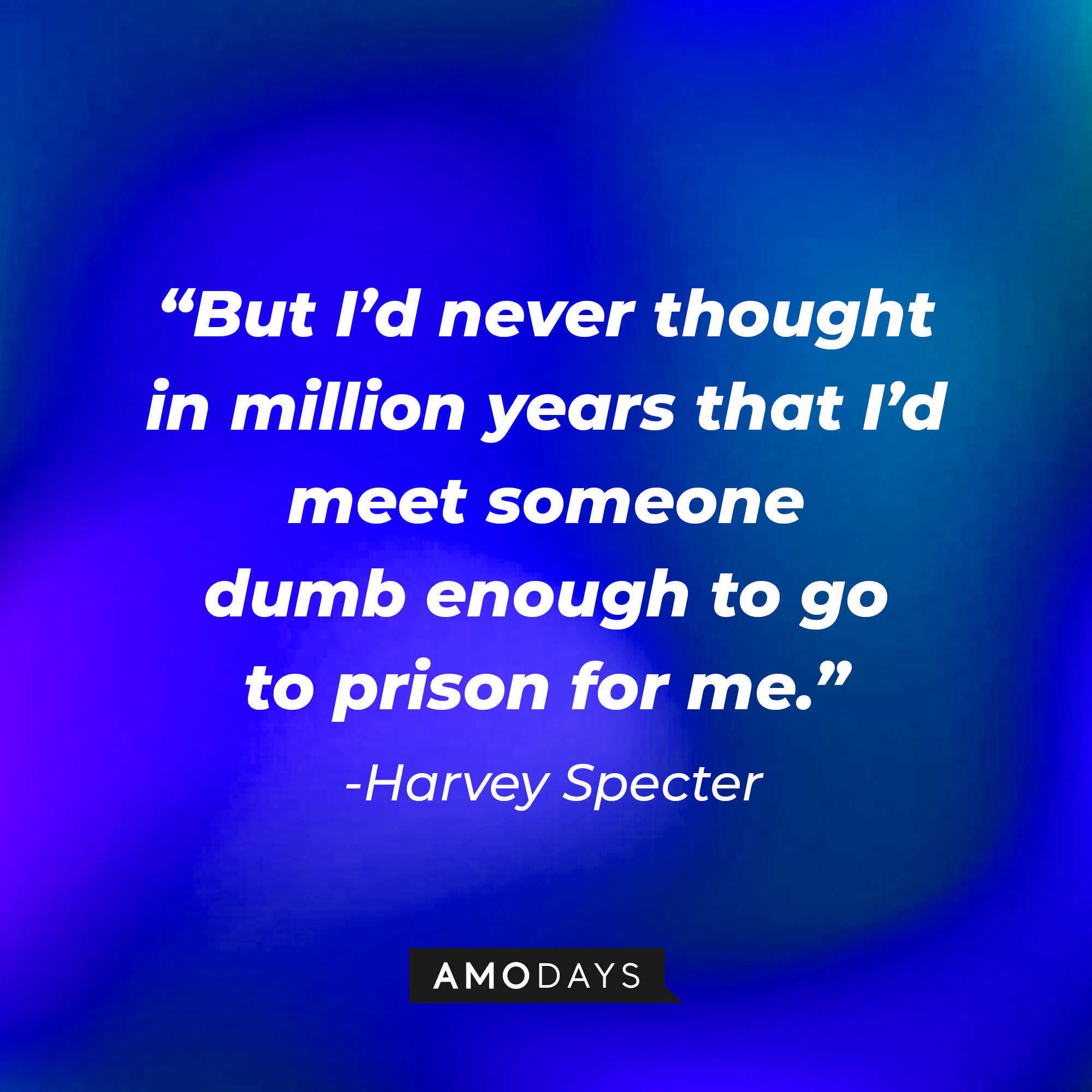 Harvey Specter's quote from "Suits" : "But I'd never thought in million years that I'd meet someone dumb enough to go to prison for me." | Source: Amodays