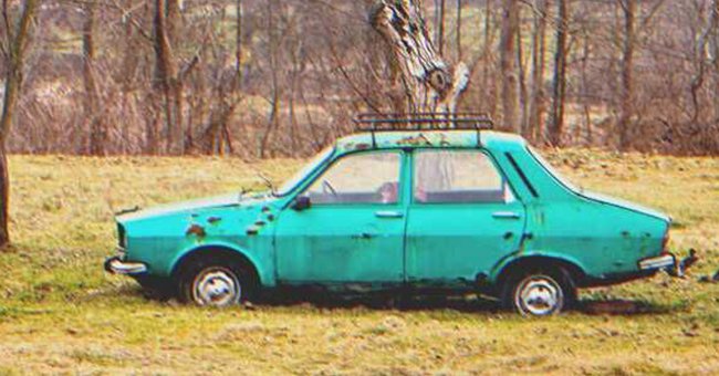 Allan found an abandoned car in a woodland area near his home. | Source: Shutterstock