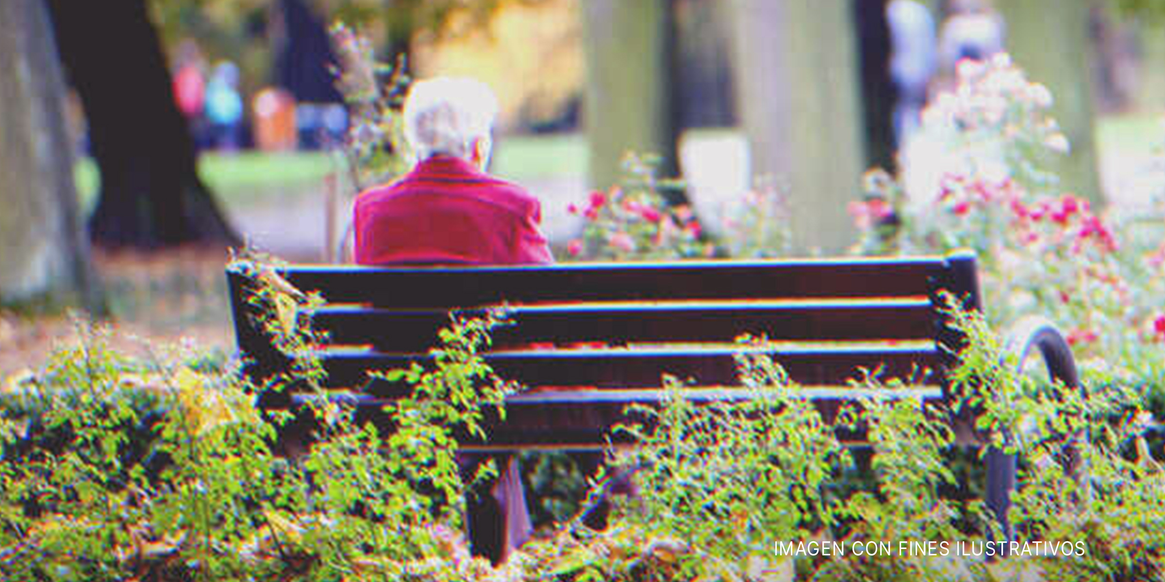 Anciano sentado en un banco | Foto: Shutterstock