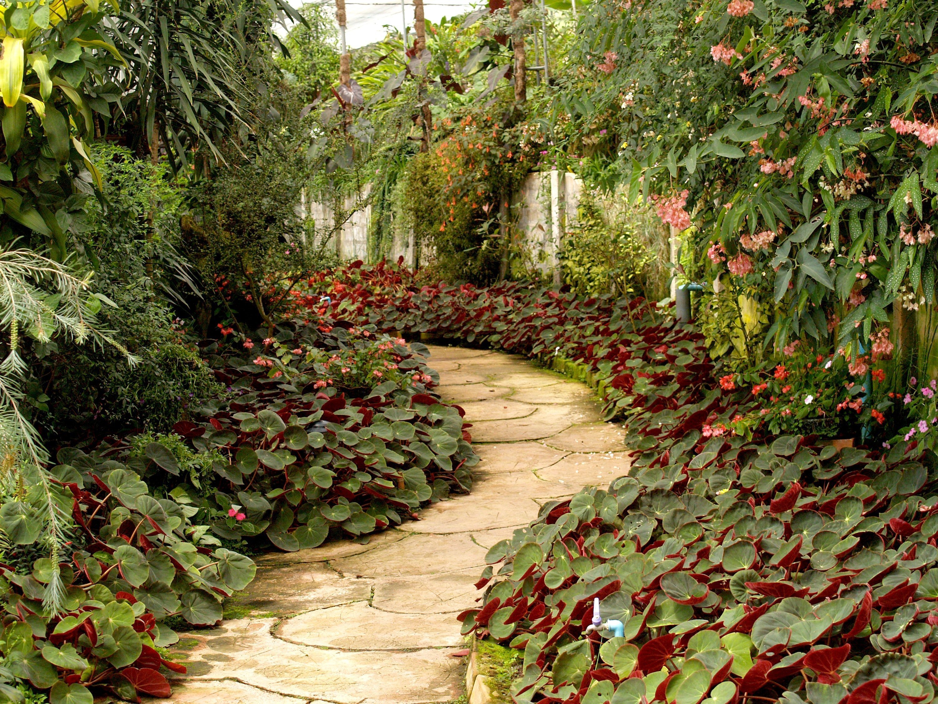 A beautiful garden. | Source: Pexels
