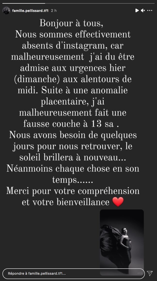 Capture de la story Instagram. | Photo : famille.pellissard.tf1