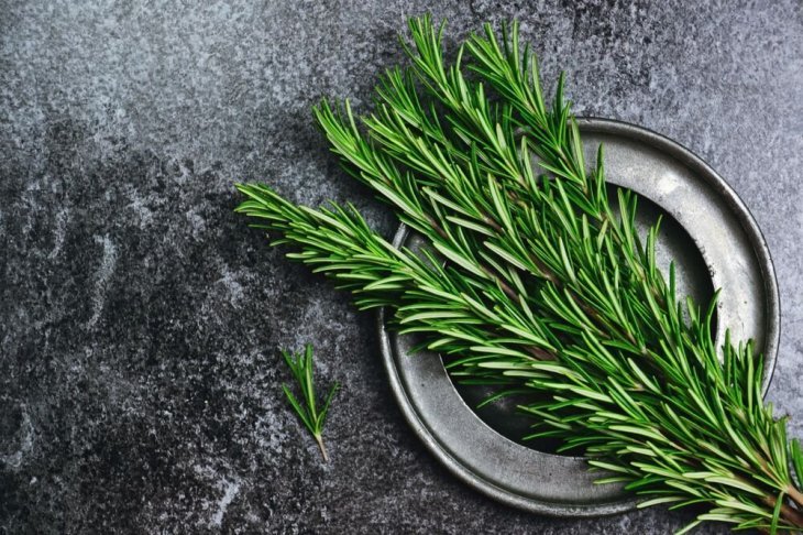 Imagen tomada de Shutterstock Imagen tomada de Shutterstock