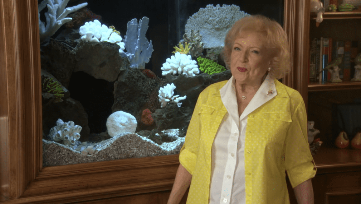 Betty White standing next to her aquarium in her home | Source: Youtube.com/Kenetic TV
