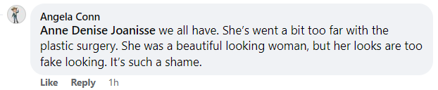 A fan comments on Daily Mail's post about Goldie Hawn's dinner outing with her partner Kurt Russell and stepson Boston in Los Angeles, California | Source: Facebook/@DailyMail
