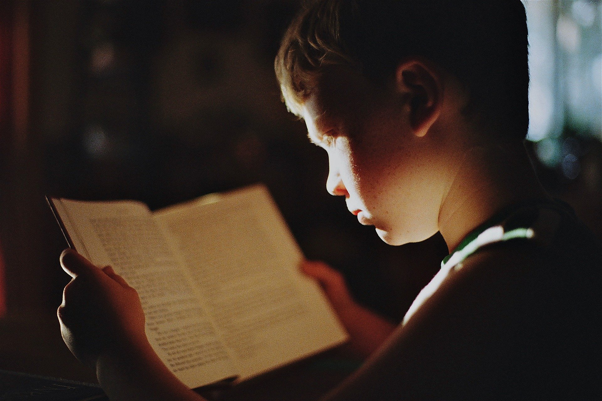 A little boy reading a books | Source: Pixabay