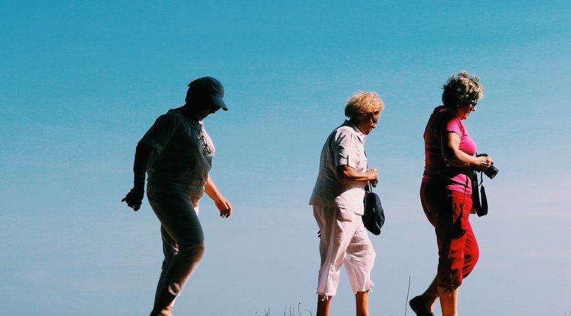 There seemed to be a good selection of grandmothers at the grocery store | Source: Unsplash