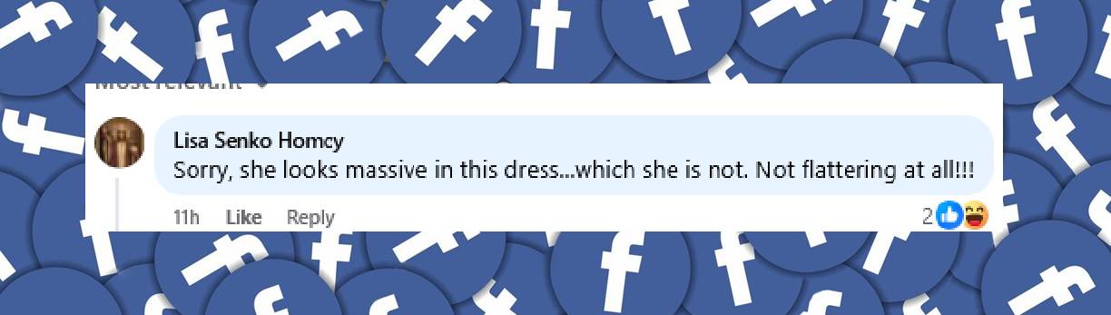 A fan's comment on Kamala Harris outfit at the Met Gala, from a post dated May 6, 2025 | Source: Facebook/democrats