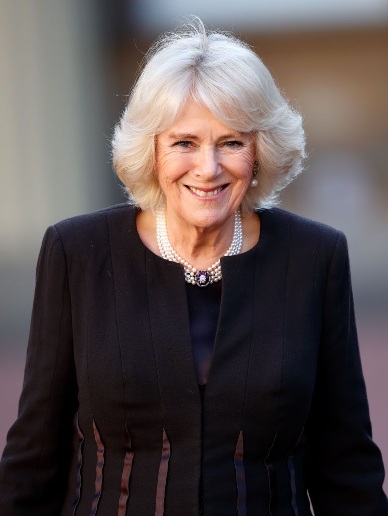 Camilla, Duchess of Cornwall at a reception for the London Taxi Drivers' Charity for Children at Buckingham Palace on February 14, 2019 | Photo: Getty Images