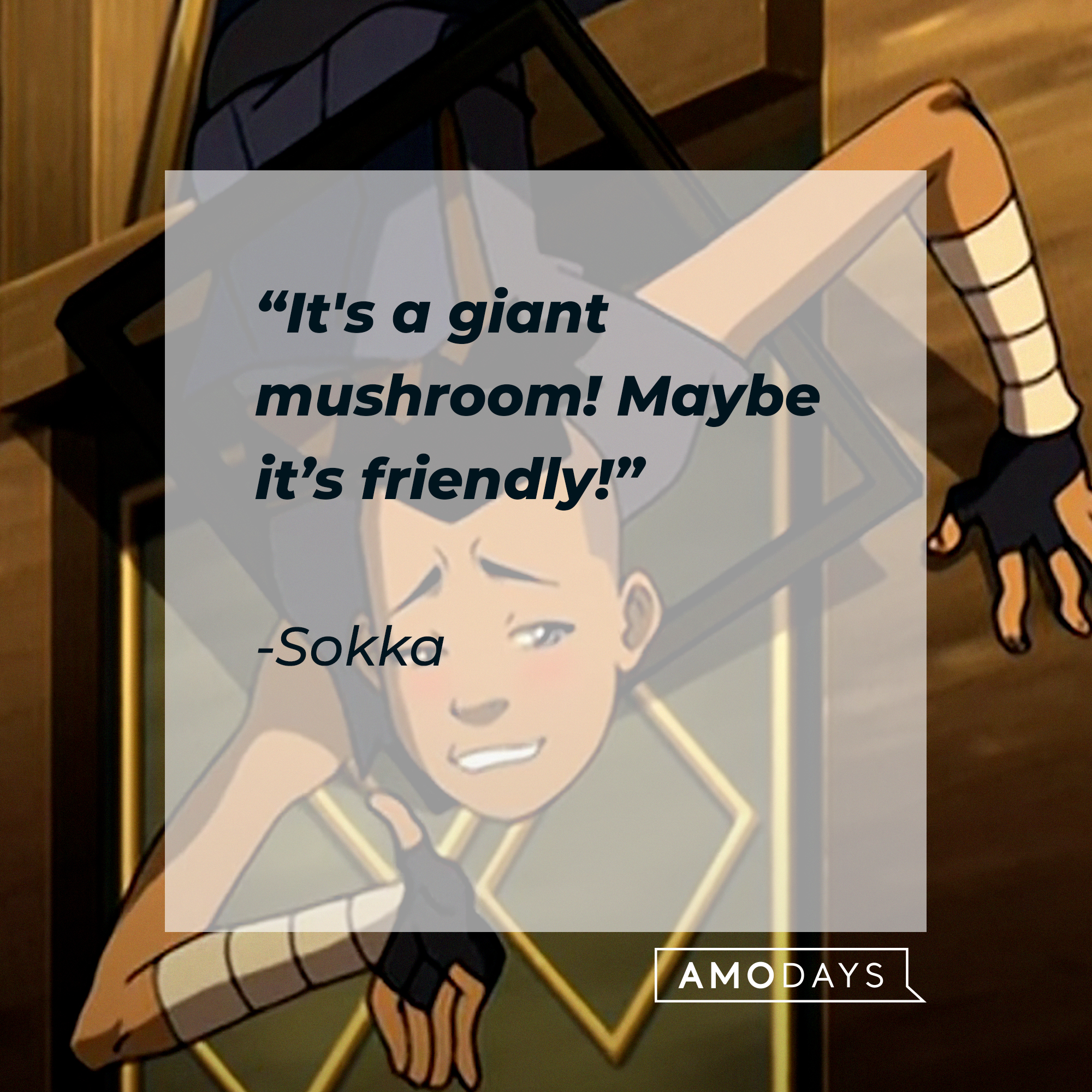 Sokka, with his quote: “It's a giant mushroom! Maybe it’s friendly!” | Source: Youtube.com/TeamAvatar