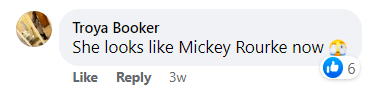 A mean comment comparing Basinger to Mickey Rourke posted as a comment on the Facebook post published on April 3, 2023 | Source: Facebook.com/Hollywood Life