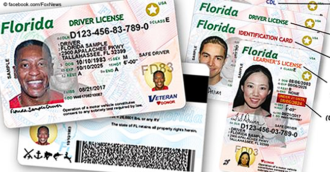 A New Bill in the Florida Could Allow Undocumented Immigrants to Get Drivers Licenses